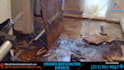 make water damage cleanup video, water damage restoration video ads