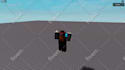 be your professional roblox scripter