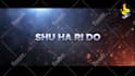 promote logo or text with funny kungfu panda animation video