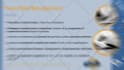 create amazing short video ads for your business promotions