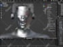 do 3d rigging in blender
