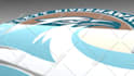 create amazing 3d logo animation intro video