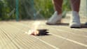 do vfx fire, explosion, spark, particles, smoke, magic, etc