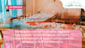 create hotel, restaurant promo videos