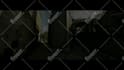 do professional video editing within 24 hrs