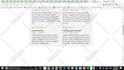 record my voice and screen activity as I give you my opinion about your website
