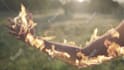 do vfx fire, explosion, spark, particles, smoke, magic, etc