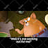add english subtitles and captions to your video in 24 hours