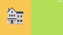 create a custom 2d animated explainer video, or youtube animation