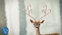 customize animated christmas short greetings