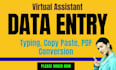 be virtual assistant for data entry, typing, copy paste, PDF