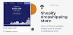 build a profitable dropshipping shopify store or ecommerce store