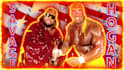 have read your script as macho man or hulk hogan wwe wrestling  msg