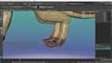 rig 3d quadruped character for maya, unity, unreal