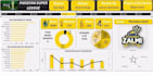 help with interactive excel visuals, dashboard and automation