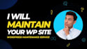 do website maintenance for you