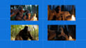make veo 3 ai videos for you