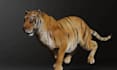 create 3d realistic animal model xgen fur cgi vfx rigging for animation and game