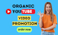 do organic youtube video promotion