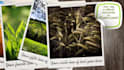 create a perfect slideshow with your photos or clips