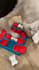 have my cute dog model your pet products