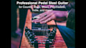 record pedal steel on your song