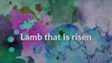 do christian lyric video for you