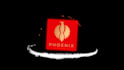 create 3d and 2d logo animation video intro