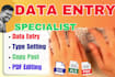 do data entry, typesetting works and copy past works