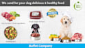 create marketing powerpoint presentation