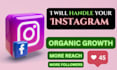 be your instagram marketing manager and content creator