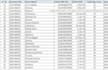 expert advanced excel formulas, data analysis, pivot table