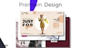 build professional online store, ecommerce website and online webshop