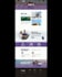 create a premium business wordpress website with elementor pro
