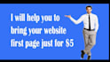do full SEO campaign for first page rank