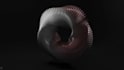 abstract animation motion graphics 2d animation loop visualizer abstract video