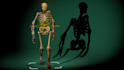rig your model in blender