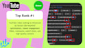 provide professional youtube SEO for maximum growth