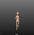 expert 3d modeler and animator breathe life into your ideas