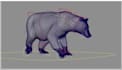 create 3d animation, 3d animal animation, character animation, 3d model