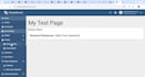 develop custom web app in angular or react with java backend