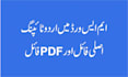 do any type of urdu typing work