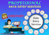 do data entry, copy paste
