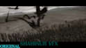 do rotoscoping, quality chroma keying professionally