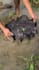 make fishing reels video for you youtube ,fb, tiktok,