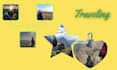 create a slideshow video 4 funeral ceremony with pictures and video
