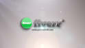 make Flares Logo Reveal