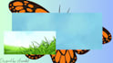 design custom laptop wallpaper