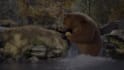 create cinematic ai videos, ai art, ai animations