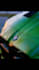 photo editing and image corrections